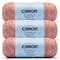 3 Pack Caron® Simply Soft Sunkissed™ Tonal Yarn